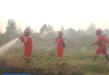 Govt Strengthens Forest and Land Fire Control in 6 Priority Provinces