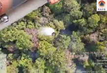 BNPB Deploys Water Bombing Helicopter for Forest Fire Management in Teluk Bintuni