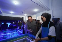 Indonesia Ships Live Coral Exports to the US