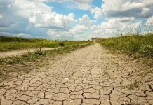 Indonesia’s Dry Season Poses Different Health Risks from Europe’s Heatwaves
