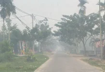 Indonesia Enhances Health Response as Forest Fires Affect 10.6 Million People