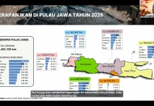 Indonesia’s Free Meals Program Creates Major New Market for Fish Producers
