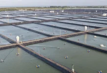 Indonesia Plans to Expand Thematic Fish Farming to 40,000 Locations