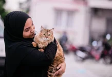 More Than Just Adorable: The Benefits of Having a Cat