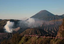Indonesia Temporarily Closes Access to Nine National Parks Amid Forest Fire Risk