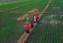 FESPIN XIII Highlights Rice as a Symbol of Asian Culture