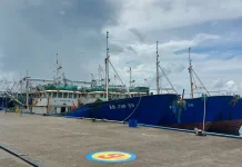Govt Targets 2.3 Million-Ton Increase in Fish Production