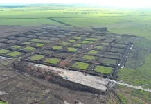 Integrated Shrimp Farm in Waingapu Targets to Produce 52,800 Tons Annually