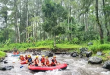 Kalisawah Adventure Offers Rafting and Rural Escapes