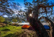Ranu Regulo Invites Visitors to Pause and Unwind