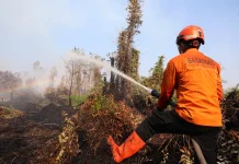 Jambi Strengthens Ground Team to Fight Peatland Fires