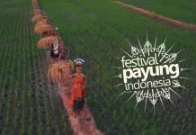 Indonesia Umbrella Festival: Where Umbrellas Become Art