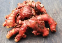 Ginger Shows Potential as a Natural Solution to Combat Antimicrobial Resistance