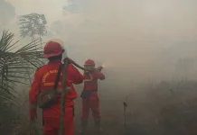Forestry Ministry Strengthens Forest and Land Fire Control in Six Provinces