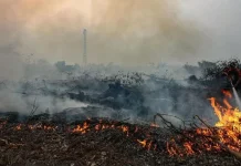 BNPB: 98 Percent of Peatland Fires Extinguished