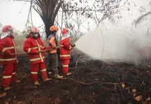 BNPB Fights Forest, Land Fires until Rainy Season