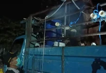 Barantin Tightens Horse Transport to Prevent Surra Spread