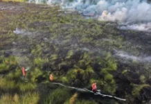 Polri Names 138 Suspects in Forest, Land Fires