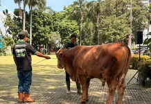 Agriculture Ministry Urges Universities to Strengthen Livestock Downstreaming