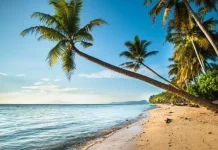 Base G Beach: A Tropical Escape in Papua's Jayapura with a World War II History