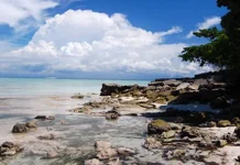 Kokoya Island Showcases White Sands and Coral Reefs in Morotai