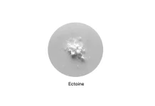 BRIN Boosts Ectoine Production 133-Fold Through Marine Microbial Engineering