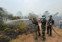 Sri Mulyono Herlambang Air Base Prevents Land Fire from Spreading to Residential A