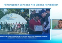 NTT Education Recovery Accelerates after Earthquake