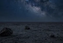 When Planets Abandon Stars And Survive Alone