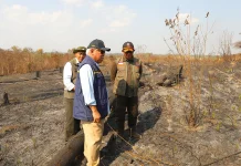 BNPB Strengthens Forest Fire Response in East Kalimantan