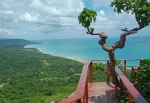 Fatubraun Hill Highlights the Natural Beauty of Kupang Regency