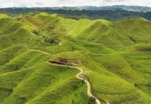 Bukit Ledongara Offers Stunning Hillside and Sea Views in East Nusa Tenggara