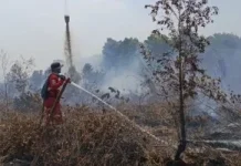 National Hotspots Down by 400 as Ground and Aerial Operations Continue