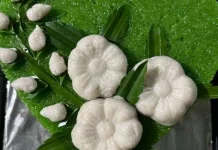 Why Wajik Is Part of Traditional Indonesian Wedding Gift Arrangements