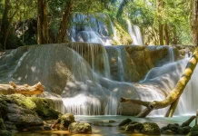 Oenesu Waterfall Offers Four-Tier Natural Pools in Kupang
