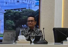 Indonesia Still in Process of Joining New Development Bank