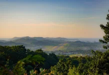 Parapuar Blends Forest Conservation with Panoramic Labuan Bajo Views