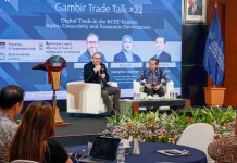 Indonesian Government Promotes Digital Economic Inclusivity in the RCEP Region
