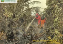 Govt Steps Up Forest Fire Response as National Hotspots Reach 1,532 Hotspots