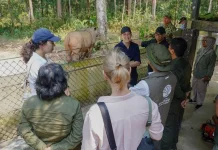 Indonesia, Norway Strengthen Cooperation on Way Kambas Conservation