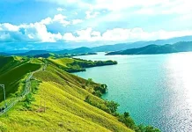 Tungkuwiri Hill: a Scenic Natural Escape in Jayapura