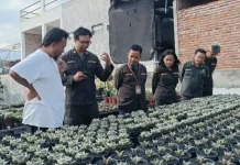 Barantin Strengthens Traceability of Ornamental Plant Exports from East Java