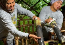 Afo Clove Gastronomy Tour Reveals Ternate’s Historic Spice Heritage