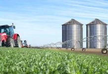Indonesia Modernizes Agro-Industry Through Machinery Restructuring Program
