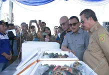Indonesia's Quarantine Agency Ships 30 Tons of Tuna and Mud Crab from Maluku