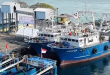 Indonesia-China TCG Advances Fisheries Modernization in Tual
