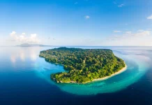 Ai Island Combines World-Class Diving and Spice History