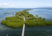 Osi Island Blends Mangroves, Cottages, and Island Life