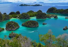 Raja Ampat Showcases World-Renowned Marine Biodiversity