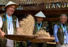 Hanjeli Seeds: Ancient Grain Reemerges as a Symbol of Global Food Resilience